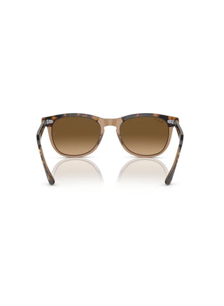 Eagle Eye RB2398 Havana/Transparent Brown Gradient