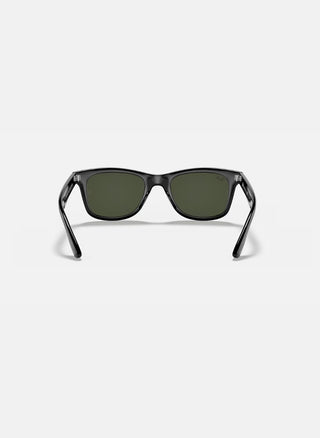 RB4640 - Polarized