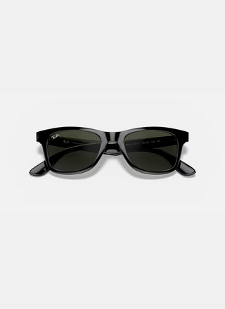 RB4640 - Polarized