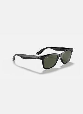 RB4640 - Polarized