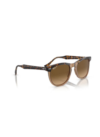 Eagle Eye RB2398 Havana/Transparent Brown Gradient