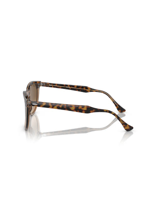 Eagle Eye RB2398 Havana/Transparent Brown Gradient