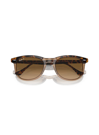 Eagle Eye RB2398 Havana/Transparent Brown Gradient