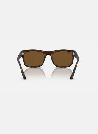 RB4428 Matte Havana/Brown Polarized 56