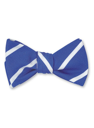 Royal Blue/White Buckingham Striped Bow Tie - B2791